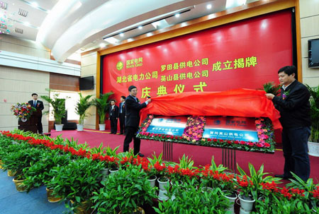 湖北省電力公司2010年正式揭牌成立公司有那些？