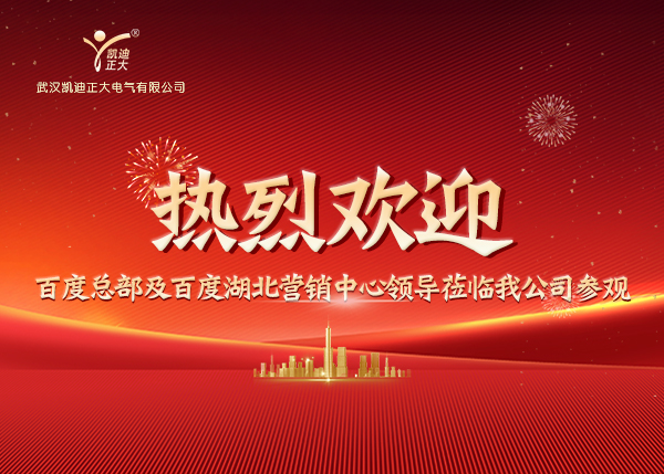 百度總部及湖北營銷中心領導蒞臨我司，共繪合作新藍圖